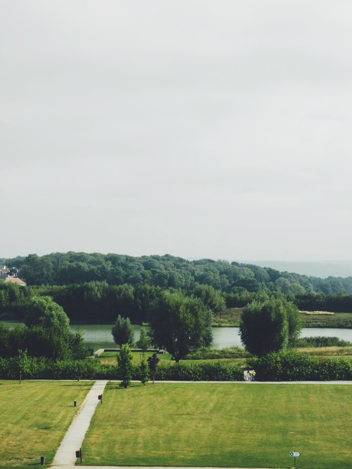 Picsart banner for @foal