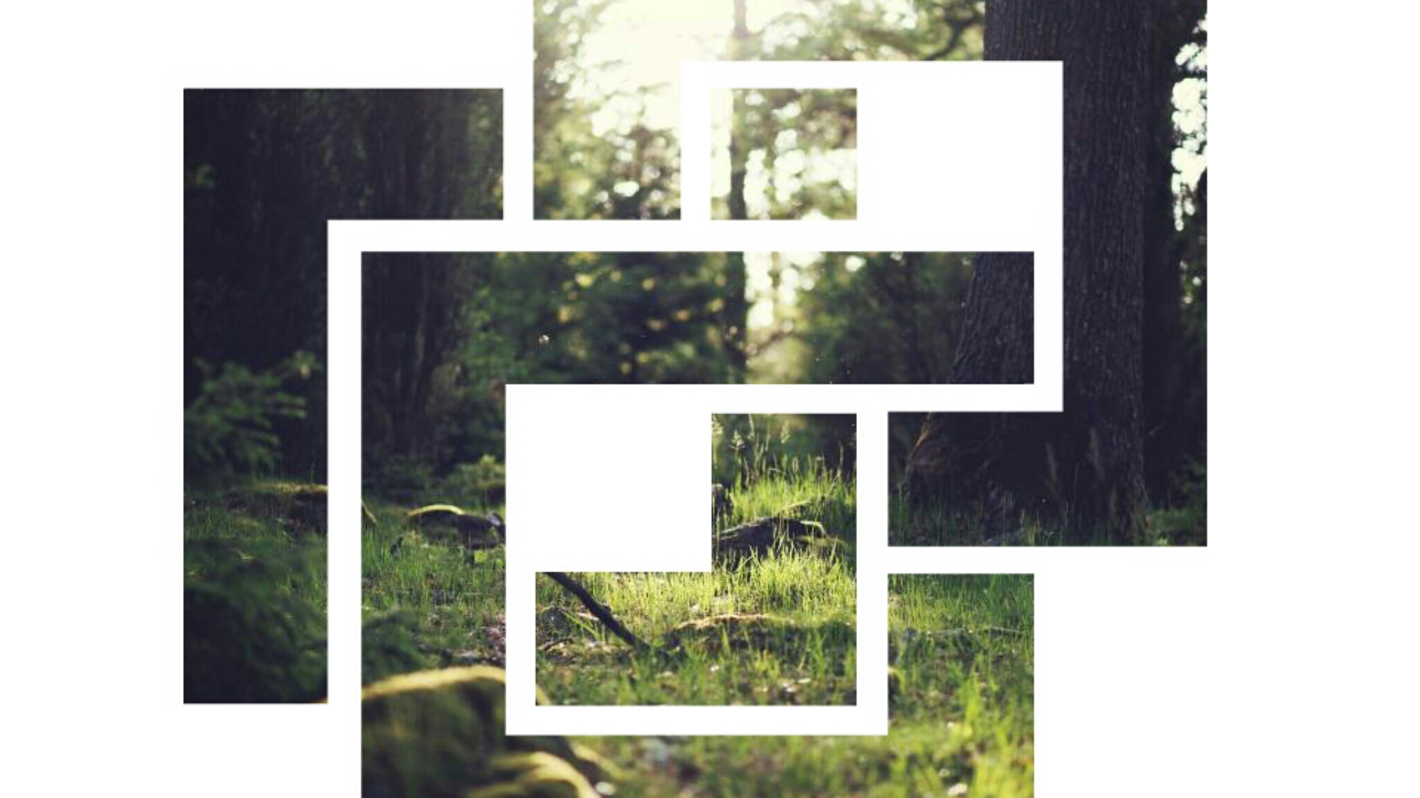 Picsart banner for @adults