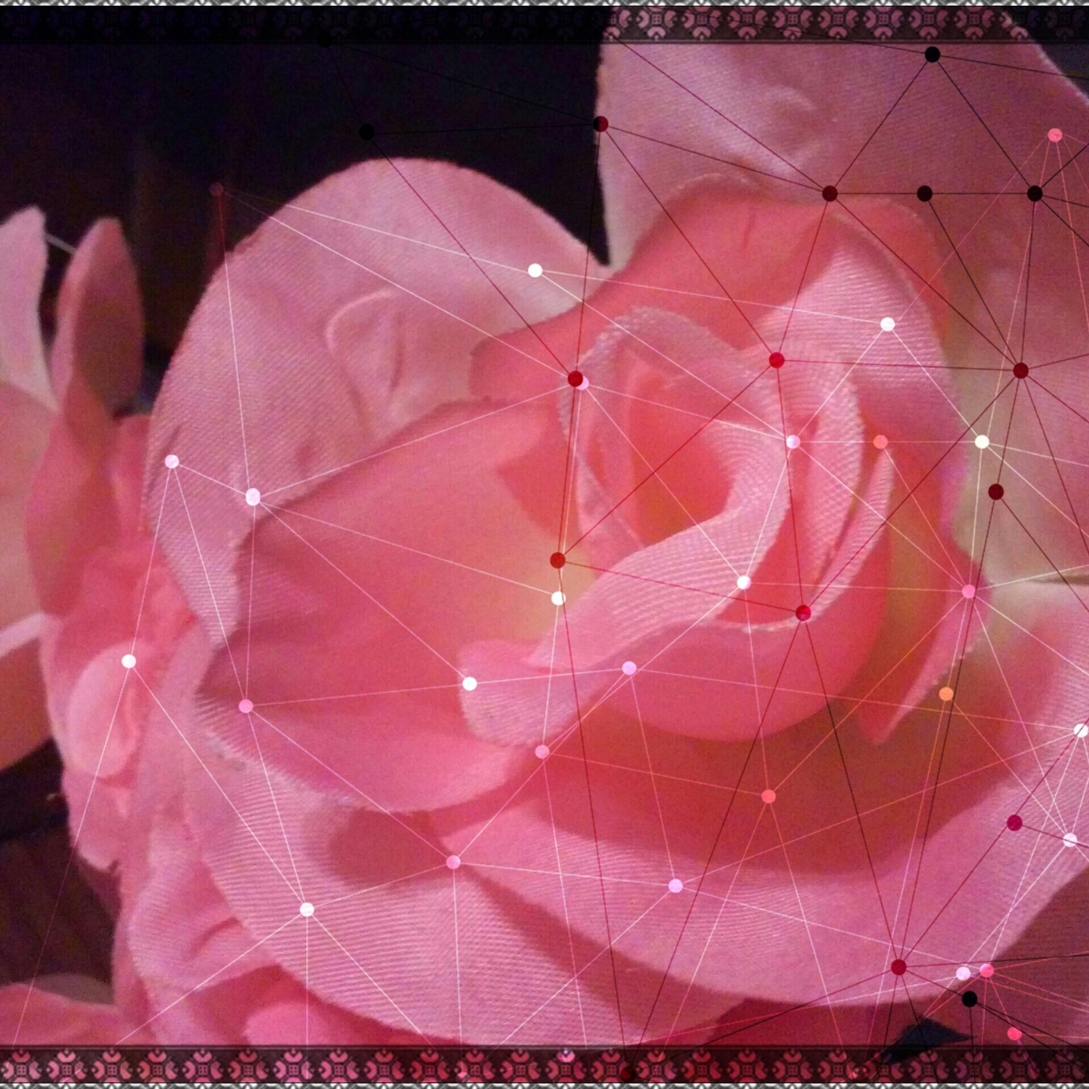 Picsart profile picture for @antique