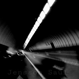 abstract black & white insect tunnel travel